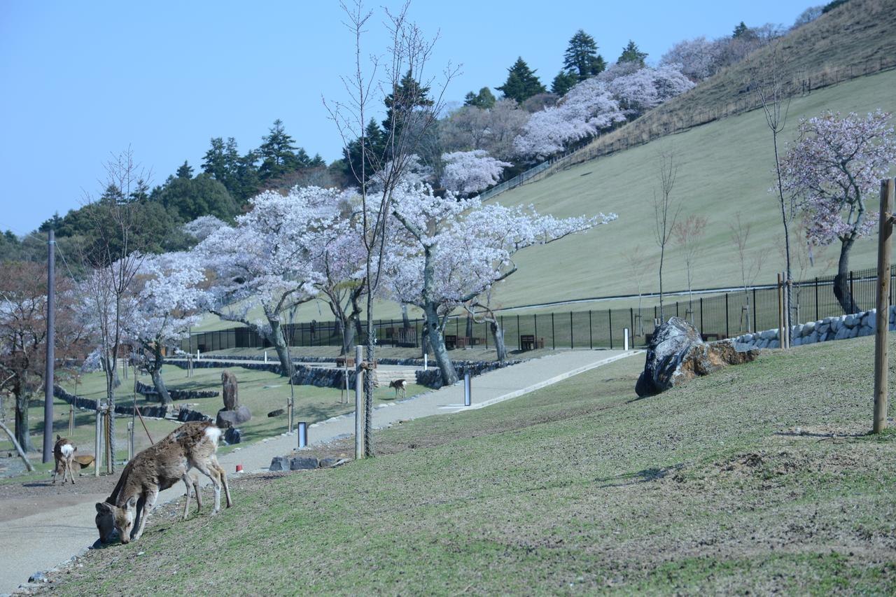 鹿苑山庄山林小屋 奈良 外观 照片