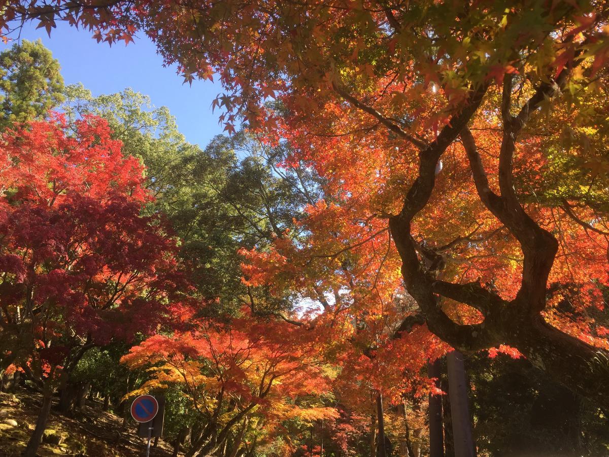 鹿苑山庄山林小屋 奈良 外观 照片